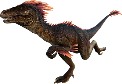 Raptor Pack