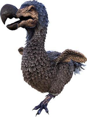Dodo Nest